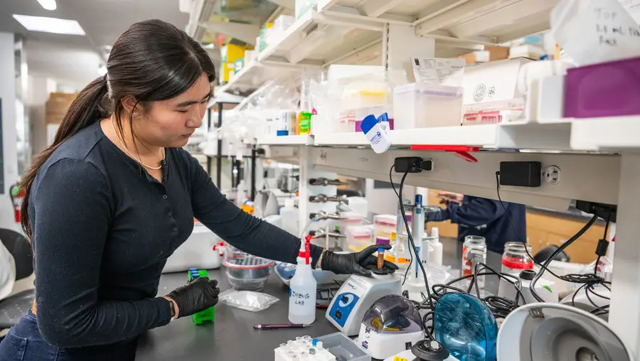 Cindy Jiang works in lab